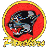 Nottingham Panthers Logo